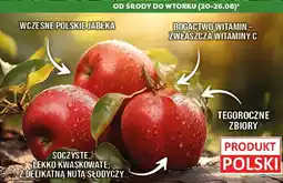 Polomarket Jabłka młode Piros, Sander lub Paulared POLOmarket oferta