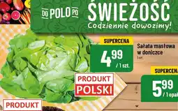 Polomarket Sałata masłowa POLOmarket oferta