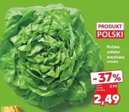 Kaufland Sałata masłowa 1 szt. Kaufland oferta