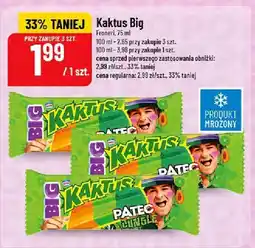 Polomarket Lody Kaktus Big oferta