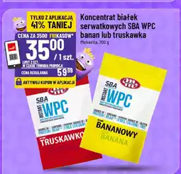 Polomarket Koncentrat białek serwatkowych SBA WPC banan lub truskawka oferta