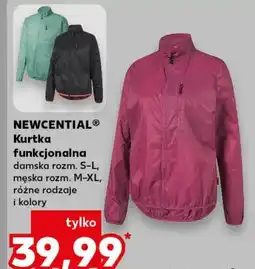 Kaufland Kurtka męska Newcential oferta
