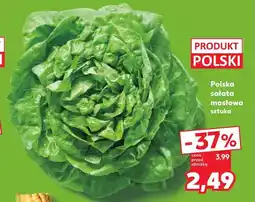 Kaufland Sałata masłowa Polski oferta