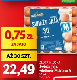 Lidl Jaja Złota nioska oferta