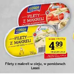 Gram Market Filet z makreli Łosoś oferta