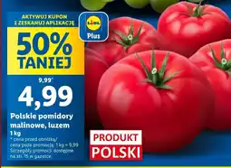 Lidl Pomidory Polski oferta