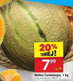 Twój Market Melon Cantaloupe Twój Market oferta
