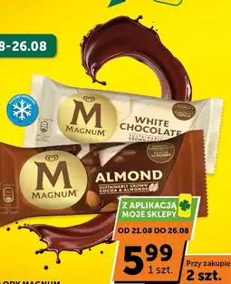 ABC Lody Magnum Almond oferta