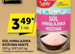 Groszek Sól himalajska różowa Sante oferta
