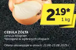 ABC Cebula żółta ABC oferta