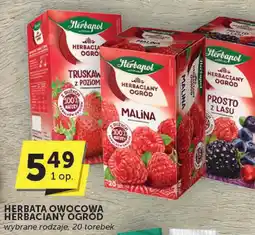 ABC Herbata owocowa Herbaciany Ogród Herbapol oferta