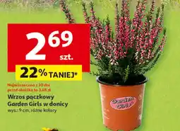 Auchan Wrzos garden girls oferta