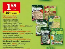 Auchan Kiełkownica mała W. Legutko oferta