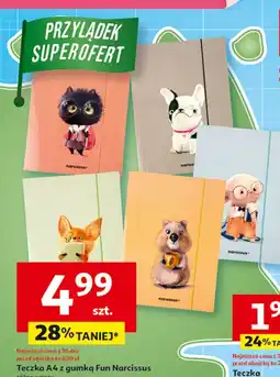 Auchan Teczka a4 z gumką oferta