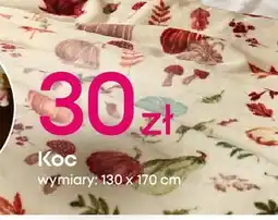 Pepco Koc 130 x 170 cm oferta