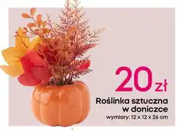 Pepco Roślina sztuczna w doniczce oferta