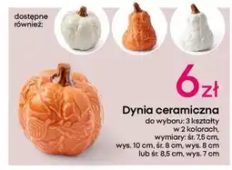 Pepco Dynia ceramiczna oferta