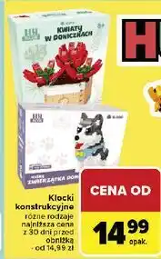 Carrefour Market Klocki kwiaty w doniczkach Hh Poland oferta