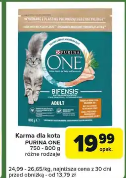 Carrefour Express Karma dla kota Purina One oferta