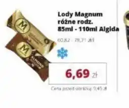 Torimpex Lody Magnum oferta