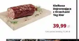 Torimpex Kiełbasa Dojrzewająca z Orzechami Kler oferta