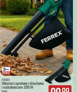 ALDI Odkurzacz ogrodowy z dmuchawą i rozdrabniaczem Ferrex oferta