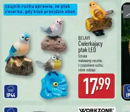 ALDI Cwierkający ptak LED Belavi oferta