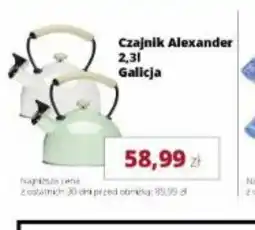 Torimpex Czajnik Alexander oferta