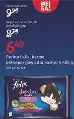Rossmann Karma dla kota kurczak + łosoś Purina Felix Junior oferta