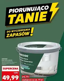 Kaufland Farba biała Parkside oferta