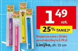 Auchan Linijka 15 cm oferta