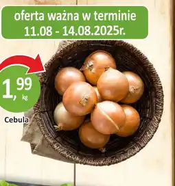 Passa Cebula oferta