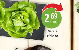Passa Sałata zielona oferta