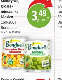 Passa Kukurydza, groszek, mieszanka Mexico Bonduelle oferta