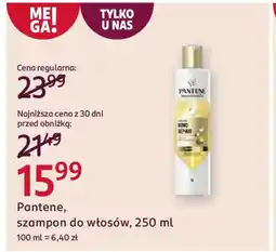 Rossmann Pantene, szampon do włosów oferta