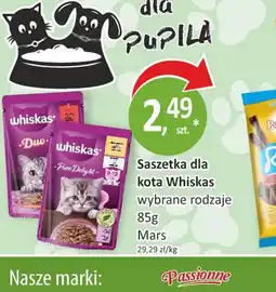 Passa Saszetka dla kota Whiskas oferta