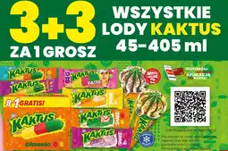 Twój Market Lody KAKTUS 45-405ml oferta