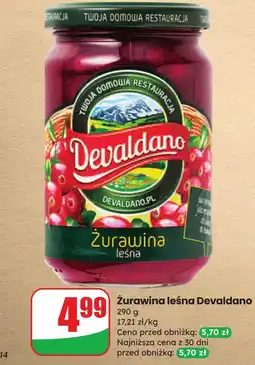 Dino Żurawina leśna Devaldano oferta
