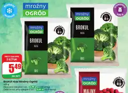 Dino Maliny mrożone Mrożny Ogród oferta