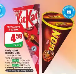 Dino Lody rożek Lion oferta