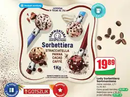 Dino Lody Sorbettiera Sammontana różne rodzaje oferta