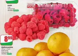 Dino Malina polska Dino oferta