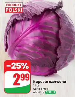 Dino Kapusta czerwona Dino oferta