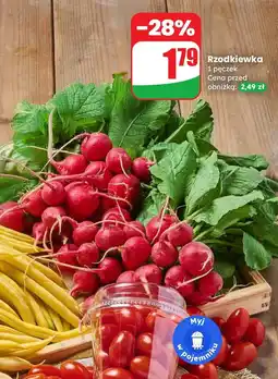 Dino Rzodkiewka Dino oferta