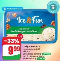 Dino Lody Ice & Fun śmietankowe z bakaliami oferta