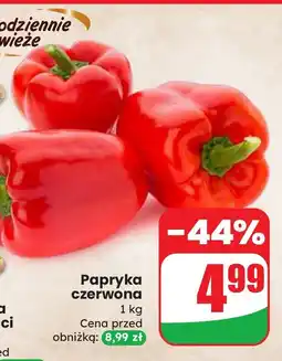 Dino Papryka czerwona Dino oferta