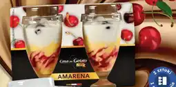 Dino Lody Casa del Gelato Amarena w pucharku oferta