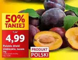 Lidl Śliwki niebieskie Lidl oferta