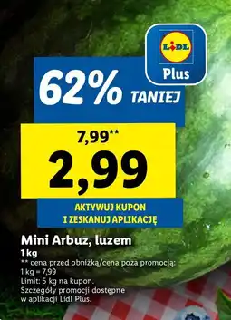 Lidl Arbuz mini Lidl oferta