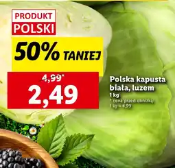 Lidl Kapusta biała Lidl oferta